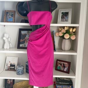 Misha Collection Cutout Fuchsia Dress
